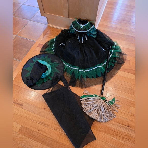 Other - What A Character Wicked Witch Costume